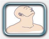 בדיקת הצוואר בדיקת הצוואר