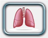 הערכת מערכת הנשימה הערכת מערכת הנשימה