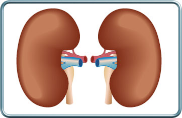 סיבוכים כליתיים